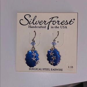 CUTE BLUE EARRINGS